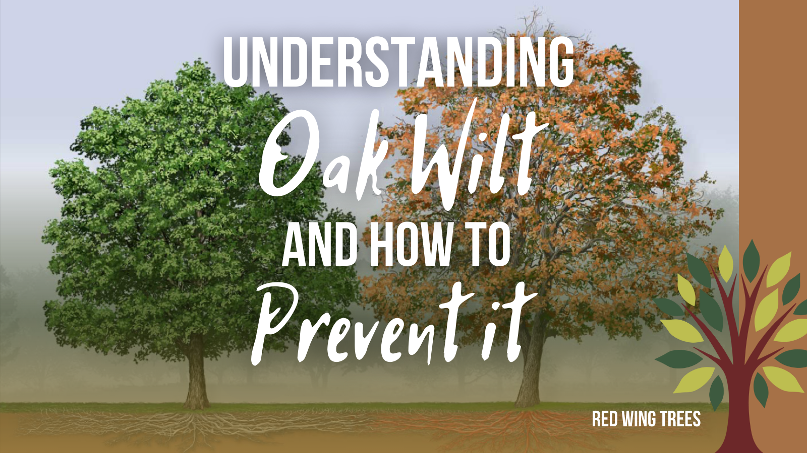 Understanding Oak Wilt and How to Prevent It – RED WING TREES